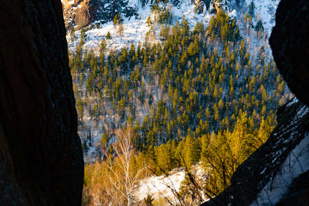 Green pine forest on top of a hill in winter in the snow. Winter nature of the forest. Walks in the...