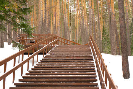 Wooden staircase in the nature reserve covered with snow. Winter nature of the national park.の写真素材