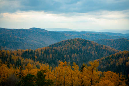 Panorama of the autumn forest against the blue sky with clouds. The vastness of the forest with green trees and yellowed foliage.の写真素材