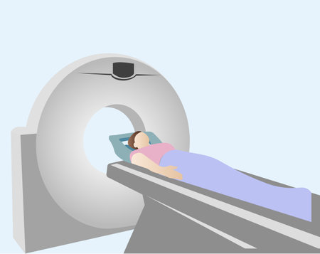 MRI scan.  Tomography. Vector image isolated on a white background.のイラスト素材