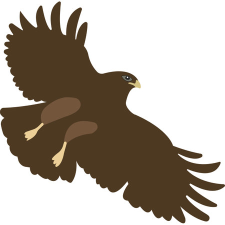 Cartoon falcon bird. Wild bird. Falcon with spread wings. Vector illustration.のイラスト素材