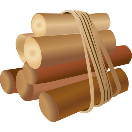 A bundle of firewood. Firewood with rope. Dry logs for a fire. Manual labor. Natural minerals. Previous illustration.のイラスト素材