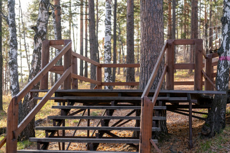 Wooden staircase with railings in the national park. Places of mass recreation of tourists in the park.の写真素材