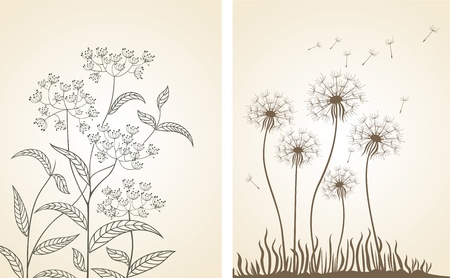 Floral design. Set.のイラスト素材