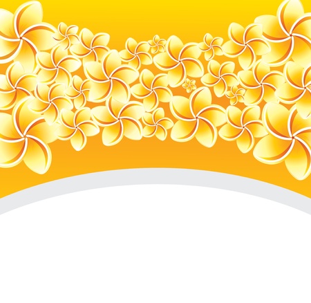 Floral background with frangipani. のイラスト素材