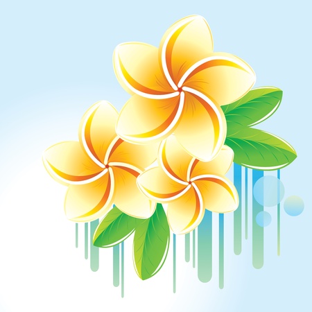 Floral background with frangipani. のイラスト素材