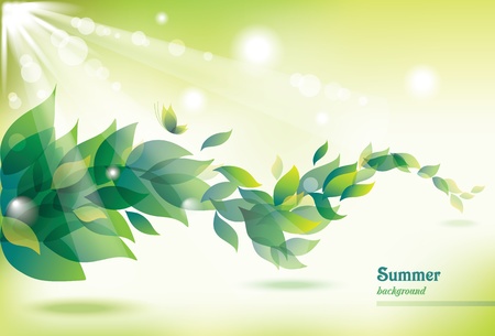Abstract summer background with green leaves  のイラスト素材