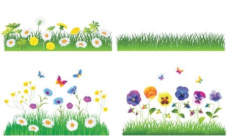 The Green Grass and Flowers. Vector Set.のイラスト素材