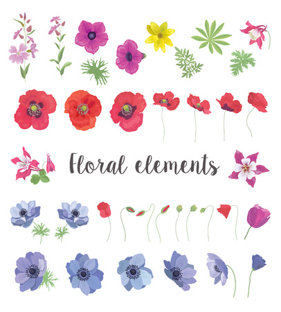Set of Floral Vector Elements for your Design. Collection of Flower and Leafs for Greeting Card, Invitation, Wedding, Decoration.のイラスト素材