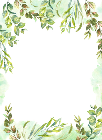 Spring and summer greeting card. Floral background for invitation, wedding, greeting cards, banners, decorations.の写真素材