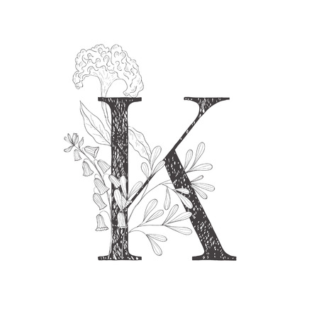 Floral botanical alphabet. Letter with plants and flowers. Line art.のイラスト素材