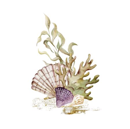Print with seaweeds and shells. Underwater world watercolor decoration.の写真素材