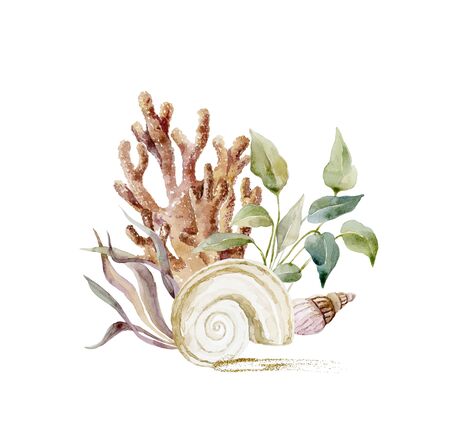 Print with seaweeds and shells. Underwater world watercolor decoration.の写真素材