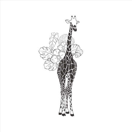 Giraffe with exotic flowers on white background.のイラスト素材