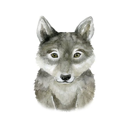 Watercolor Wolf. Forest Animal illustration.