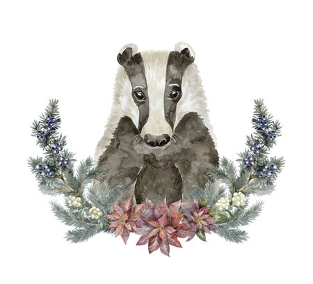 Watercolor Badger. Forest Animal illustration.の写真素材