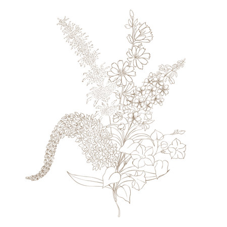 Hand Drawn Wildflower Bouquet. Line art Vector Illustration.のイラスト素材
