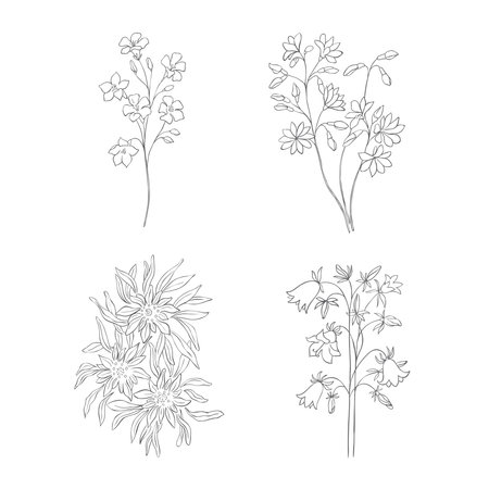 Hand Drawn Wildflowers Set. Line art Vector Illustration.のイラスト素材