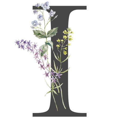 Letter with Watercolor Wildflowers on the White Background.の写真素材