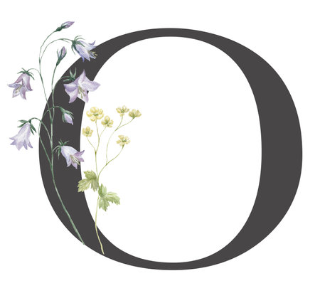 Letter with Watercolor Wildflowers on the White Background.の写真素材