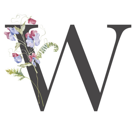 Letter with Watercolor Wildflowers on the White Background.の写真素材