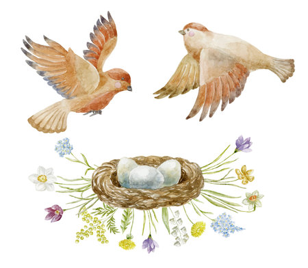 Watercolor Illustration of Sparrows with Floral Nest.の写真素材