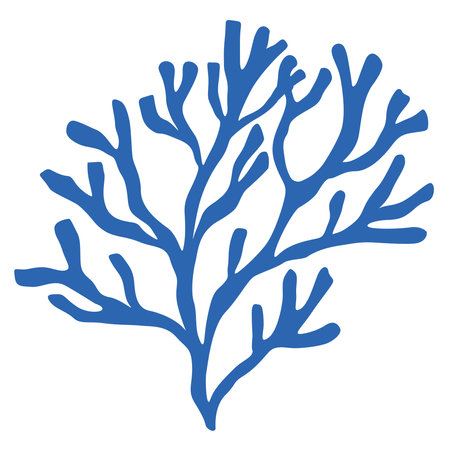Vector Illustration of Seaweed on the White Background.のイラスト素材