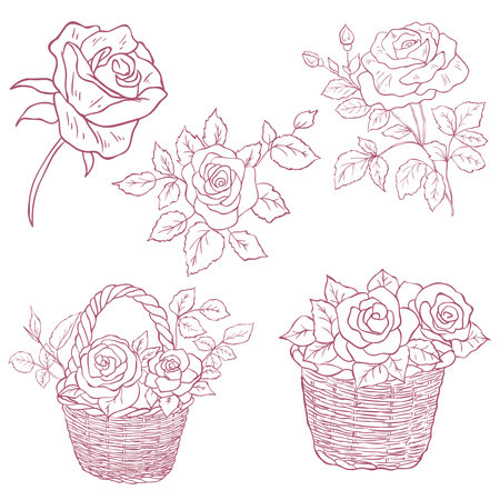 Set of Roses Branches and Bouquets. Line Art Illustration.のイラスト素材