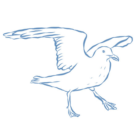 Line Art Illustration of Seagull. Vector Graphic.のイラスト素材