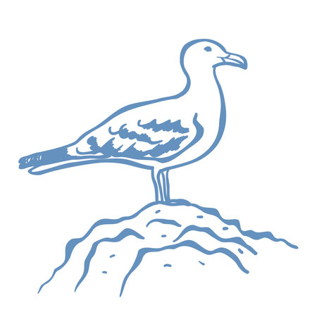 Line Art Illustration of Seagull. Vector Graphic.のイラスト素材