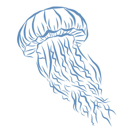 Line Art Illustration of Jellyfish. Vector Graphic.のイラスト素材