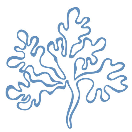 Line Art Illustration of Seaweed. Vector Graphic.のイラスト素材