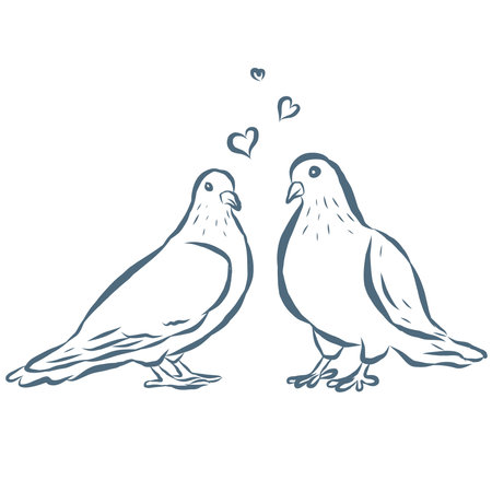 Line Art Illustration of Doves. Vector Graphic.のイラスト素材