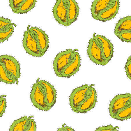 Durian fruit seamless pattern backgroundのイラスト素材