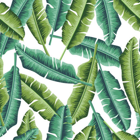 tropical banana leaves seamless floral pattern vector illustrationのイラスト素材