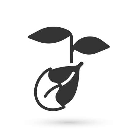 Grey Sprout icon isolated on white background. Seed and seedling. Leaves sign. Leaf nature. Vectorのイラスト素材