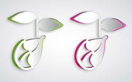 Paper cut Sprout icon isolated on grey background. Seed and seedling. Leaves sign. Leaf nature. Paper art style. Vectorのイラスト素材