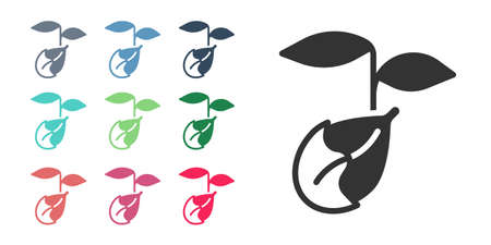 Black Sprout icon isolated on white background. Seed and seedling. Leaves sign. Leaf nature. Set icons colorful. Vectorのイラスト素材