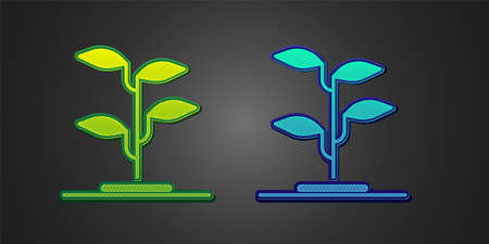 Green and blue Sprout icon isolated on black background. Seed and seedling. Leaves sign. Leaf nature. Vectorのイラスト素材
