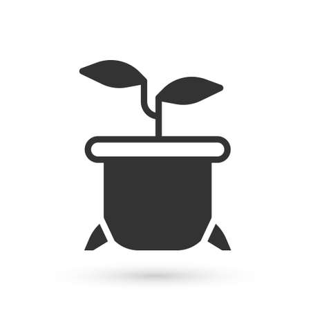 Grey Plant in pot icon isolated on white background. Plant growing in a pot. Potted plant sign. Vectorのイラスト素材