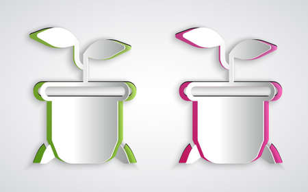 Paper cut Plant in pot icon isolated on grey background. Plant growing in a pot. Potted plant sign. Paper art style. Vectorのイラスト素材