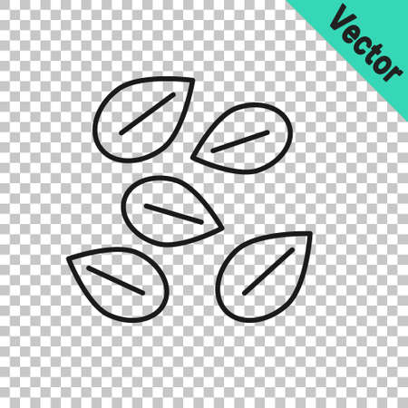 Black line Seeds of a specific plant icon isolated on transparent background. Vectorのイラスト素材
