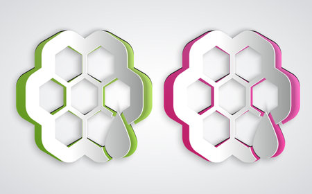 Paper cut Honeycomb icon isolated on grey background. Honey cells symbol. Sweet natural food. Paper art style. Vectorのイラスト素材