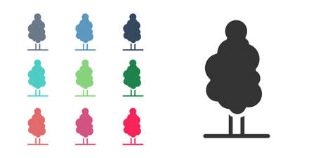Black Tree icon isolated on white background. Forest symbol. Set icons colorful. Vectorのイラスト素材