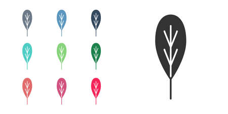 Black Leaf icon isolated on white background. Leaves sign. Fresh natural product symbol. Set icons colorful. Vectorのイラスト素材