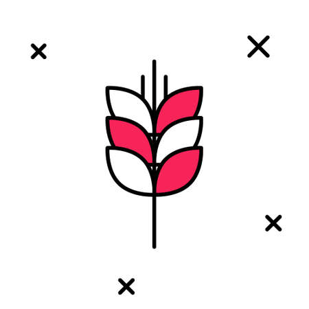 Filled outline Cereals set with rice, wheat, corn, oats, rye, barley icon isolated on white background. Ears of wheat bread symbols. Vectorのイラスト素材