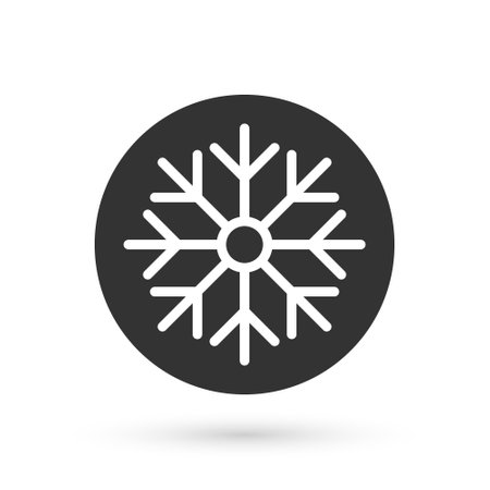 Grey Snowflake icon isolated on white background. Merry Christmas and Happy New Year. Vectorのイラスト素材