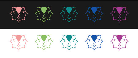 Set Chestnut icon isolated on black and white background. Barbed and strong chestnut. Vectorのイラスト素材