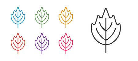 Set line Leaf icon isolated on white background. Leaves sign. Fresh natural product symbol. Set icons colorful. Vectorのイラスト素材