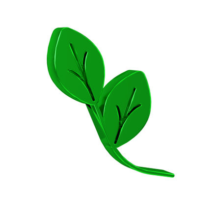 Green Leaf icon isolated on transparent background. Leaves sign. Fresh natural product symbol.の写真素材